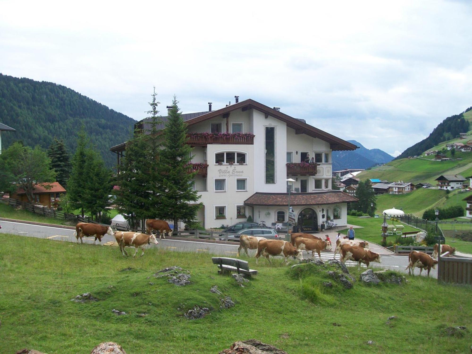Garni Villa Erna Selva di Val Gardena Exterior photo
